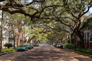 Unpacking the Nuances: Why “Southern State Insurance” Demands a Closer Look