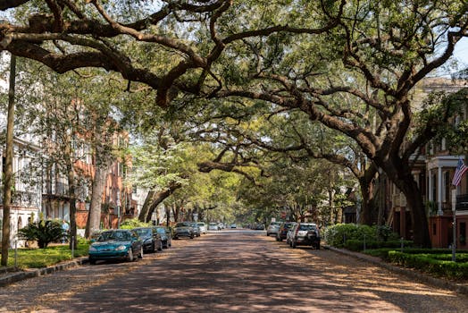 Unpacking the Nuances: Why “Southern State Insurance” Demands a Closer Look