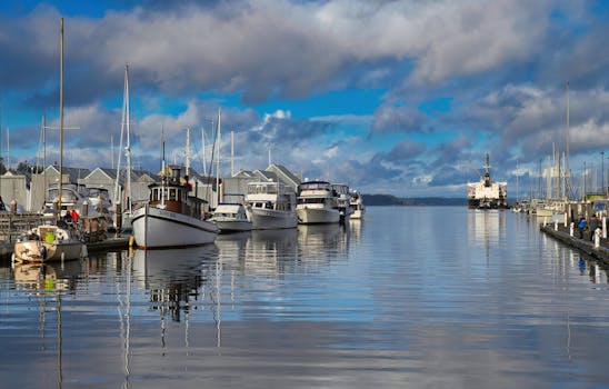 image_1769097991_1