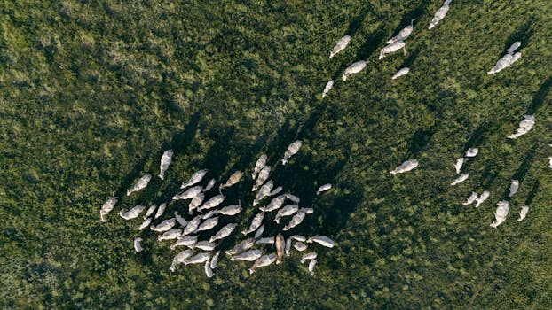 Navigating the Uncharted: Understanding “What is Stag Vixen in the Lifestyle”