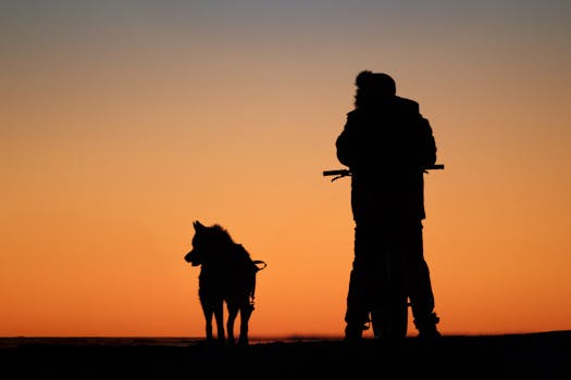 Decoding the Difference: Is Cove Forge Behavioral Health Your Next Step?